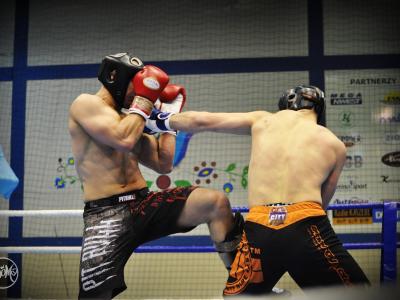 arkowiec-fight-cup-2015-by-looma-design-40944.jpg